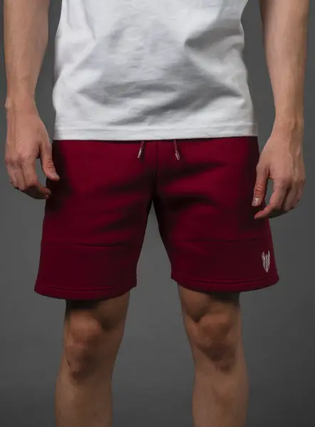 Basic Shorts Maroon